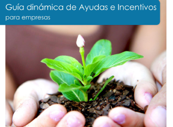 Guía Dinámica de Ayudas e Incentivos existentes para empresas.