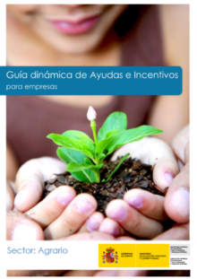 Guía Dinámica de Ayudas e Incentivos existentes para empresas.