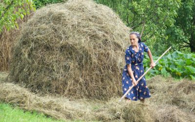 EL PLAZO SOLICITUD AYUDAS A LA AFILIACIÓN DE MUJERES DEL MEDIO RURAL, SERÁ DEL 1 AL 29 DE OCTUBRE