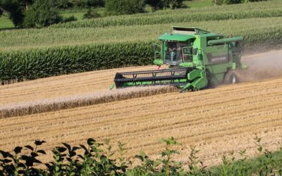 EUROPA VUELVE A REVISAR A LA BAJA LAS PREVISIONES DE CEREALES MIENTRAS QUE EN ESPAÑA SE PARAN LAS SUBIDAS DE PRECIOS