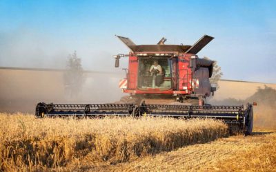 RECLAMAN AL GOBIERNO UNA NORMA QUE TAMBIÉN INDIQUE EL ORIGEN DE LOS CEREALES Y LAS OLEAGINOSAS