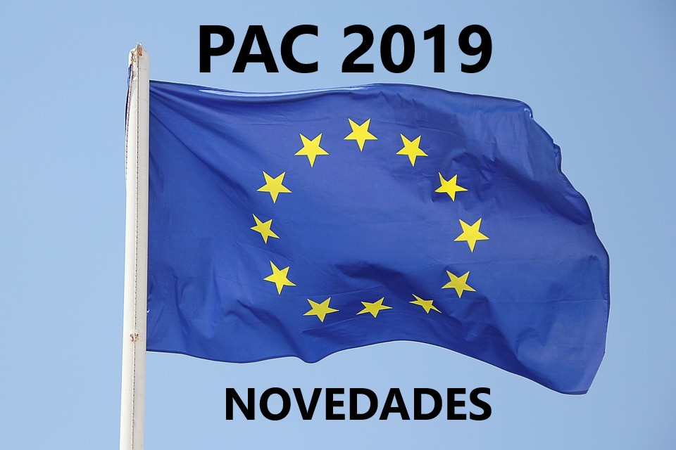 NOVEDADES PAC 2019