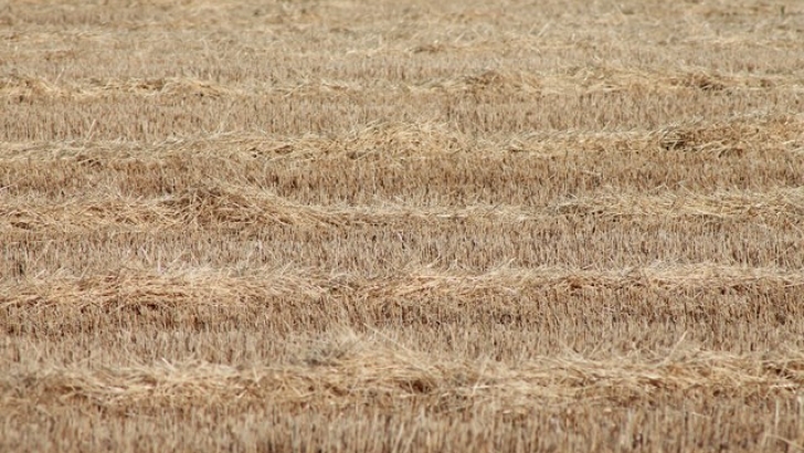 LA JUNTA DE CASTILLA Y LEÓN SUSPENDE EN SORIA LAS QUEMAS AUTORIZADAS PARA EL PRÓXIMO FIN DE SEMANA