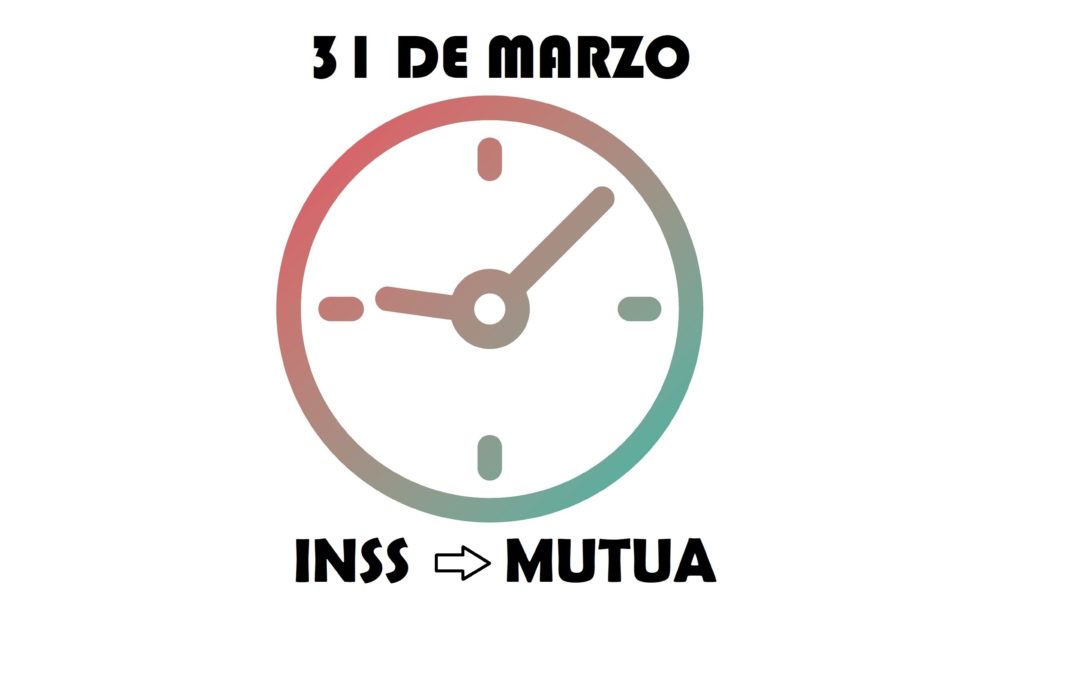 31 MARZO MUTUA