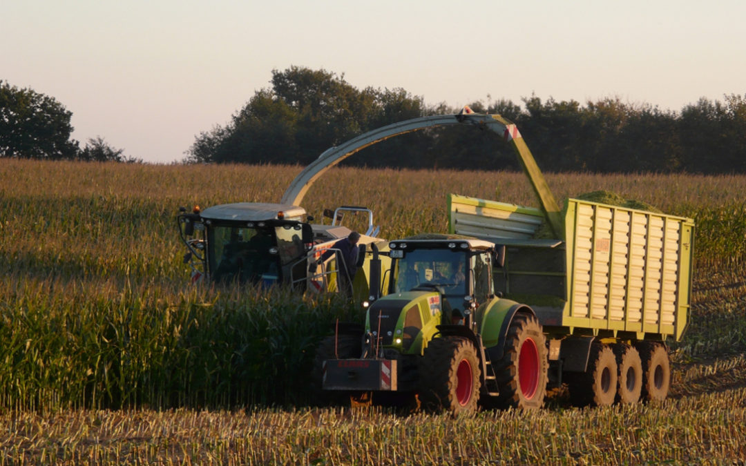 LAS DEMANDAS DE LA SOCIEDAD MARCARÁN LA EVOLUCIÓN DE LOS MERCADOS AGRARIOS EN LA PRÓXIMA DÉCADA