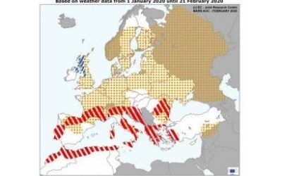 LAS TEMPERATURAS CÁLIDAS Y LA FALTA DE AGUA CONDICIONAN LOS CULTIVOS DE LA UE