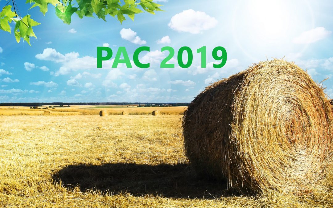 BNEFICIARIOS PAC 2019