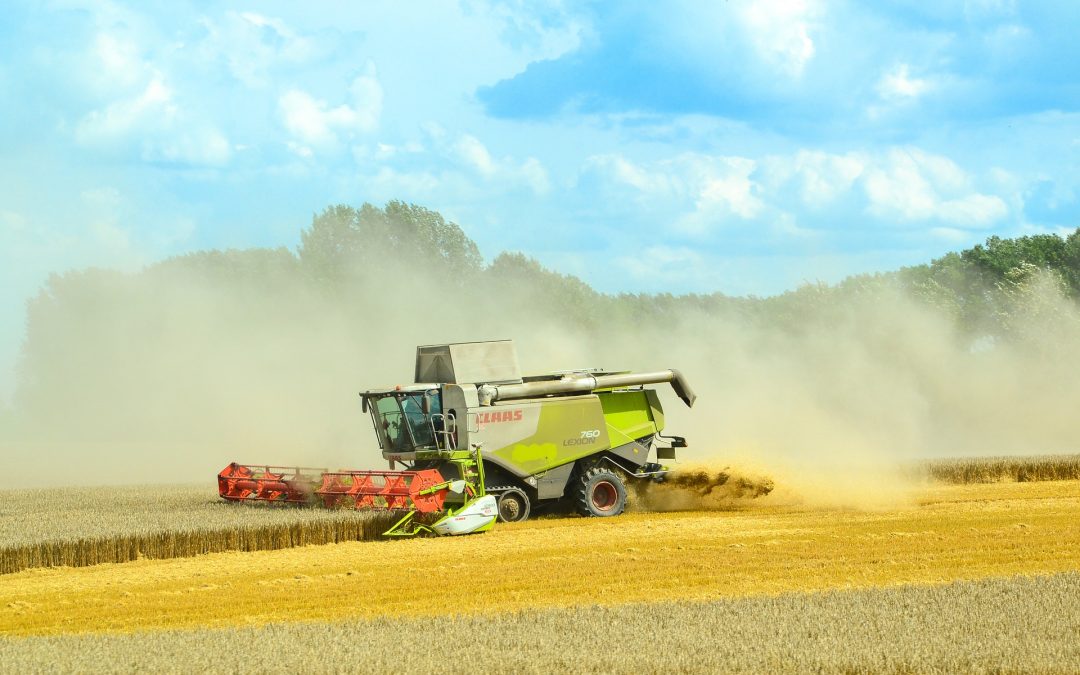 LA FAO SITÚA LA COSECHA MUNDIAL DE CEREALES 2020 EN LOS 2.780 MILLONES DE TONELADAS, UN 2,8% MÁS QUE LA ANTERIOR