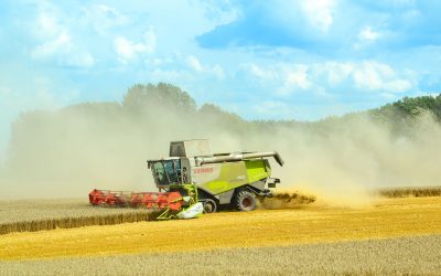 LA FAO SITÚA LA COSECHA MUNDIAL DE CEREALES 2020 EN LOS 2.780 MILLONES DE TONELADAS, UN 2,8% MÁS QUE LA ANTERIOR