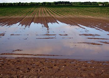 ÚLTIMO MES PARA SOLICITAR LAS AYUDAS DE LA DANA PARA AGRICULTORES CON Y SIN SEGURO