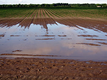 ÚLTIMO MES PARA SOLICITAR LAS AYUDAS DE LA DANA PARA AGRICULTORES CON Y SIN SEGURO