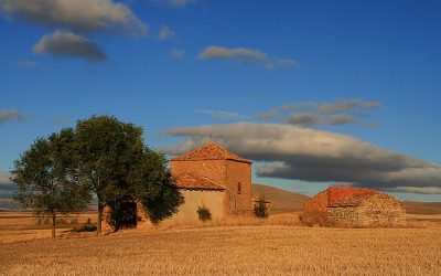 LA PROVINCIA DE SORIA LOGRA EL TERCER MEJOR RENDIMIENTO DE CEREAL DE LOS ÚLTIMOS 30 AÑOS CON 782.303 TONELADAS