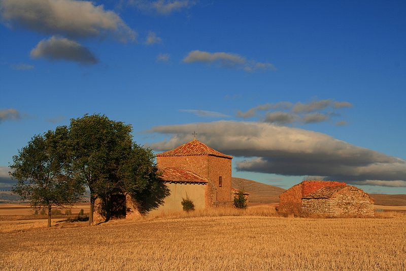 LA PROVINCIA DE SORIA LOGRA EL TERCER MEJOR RENDIMIENTO DE CEREAL DE LOS ÚLTIMOS 30 AÑOS CON 782.303 TONELADAS