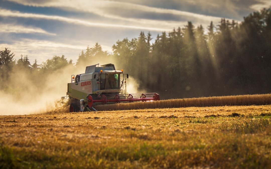 EL MINISTRO PLANAS AVANZA: «LOS AGRICULTORES PROFESIONALES DEBEN COBRAR MÁS DE LA PAC QUE QUIENES TIENEN EL CAMPO COMO SEGUNDA ACTIVIDAD»