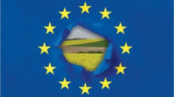 Medidas de la UE para ayudar al sector agrario en el contexto de la guerra en Ucrania