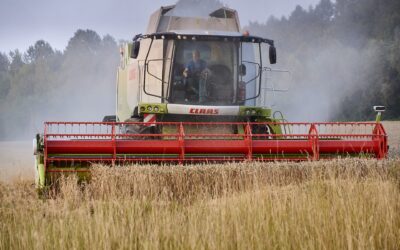 La prórroga del acuerdo para exportar cereales ucranianos rebaja los precios en los países del Mediterráneo