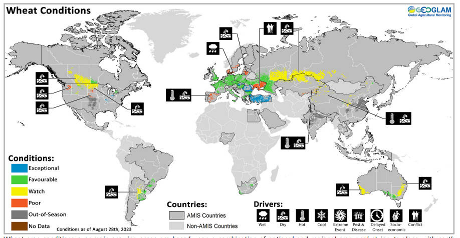 ¿Cómo está la cosecha de granos en el mundo? depende del cultivo y la zona