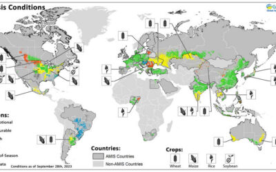 ¿Cómo está el estado de los cultivos en el mundo?