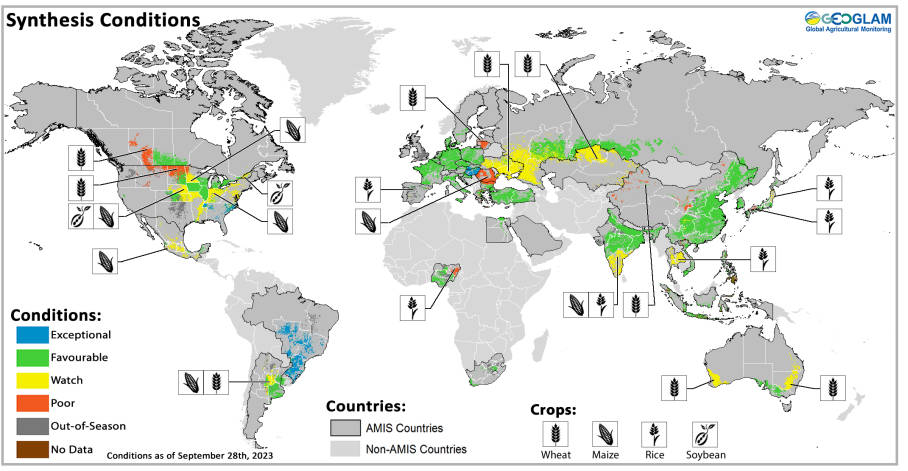 ¿Cómo está el estado de los cultivos en el mundo?