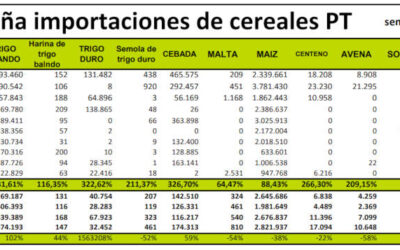 ¿Cuánto cereal ha importado España en esta campaña?