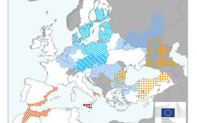 ¿Cómo evolucionan los cultivos de invierno en la UE?