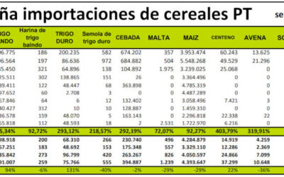 ¿Cuánto cereal lleva importado España en lo que va de campaña?