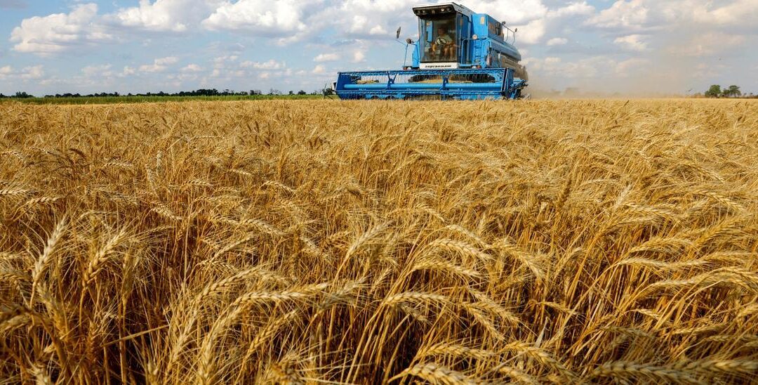 Bruselas propone elevar los aranceles a la importación de trigo ruso a los 95 euros por tonelada