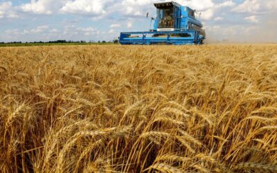 Bruselas propone elevar los aranceles a la importación de trigo ruso a los 95 euros por tonelada