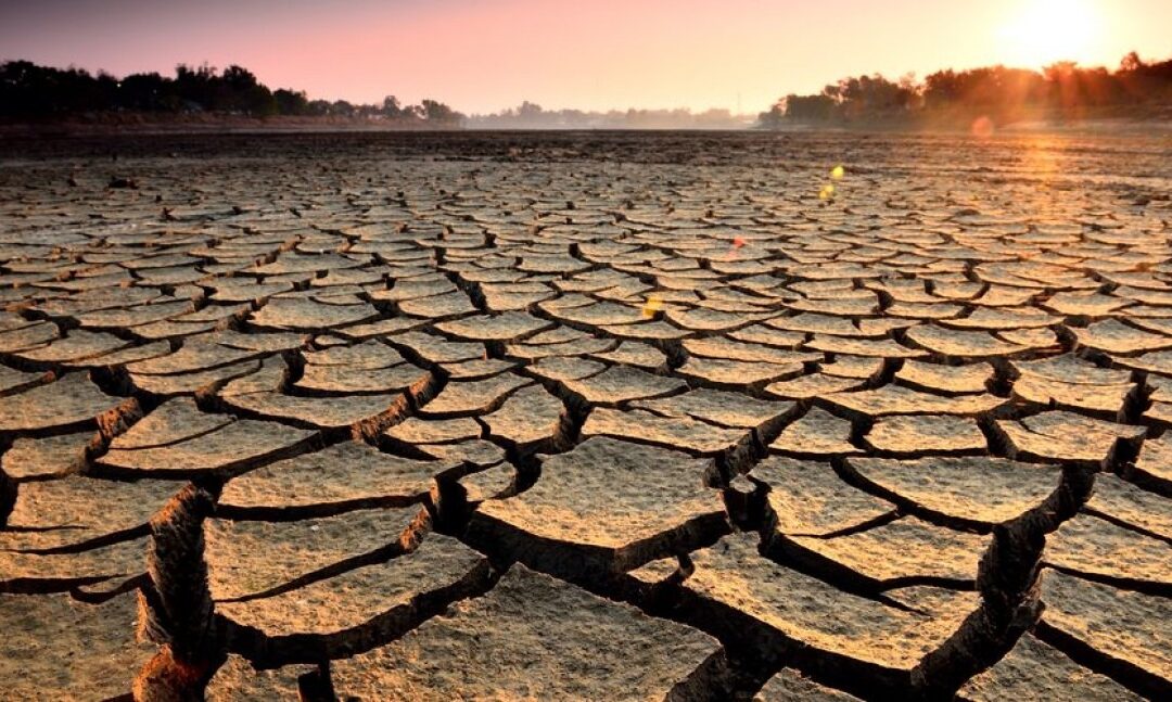 ¿Cómo se puede adaptar el seguro agrario a la alta siniestralidad?