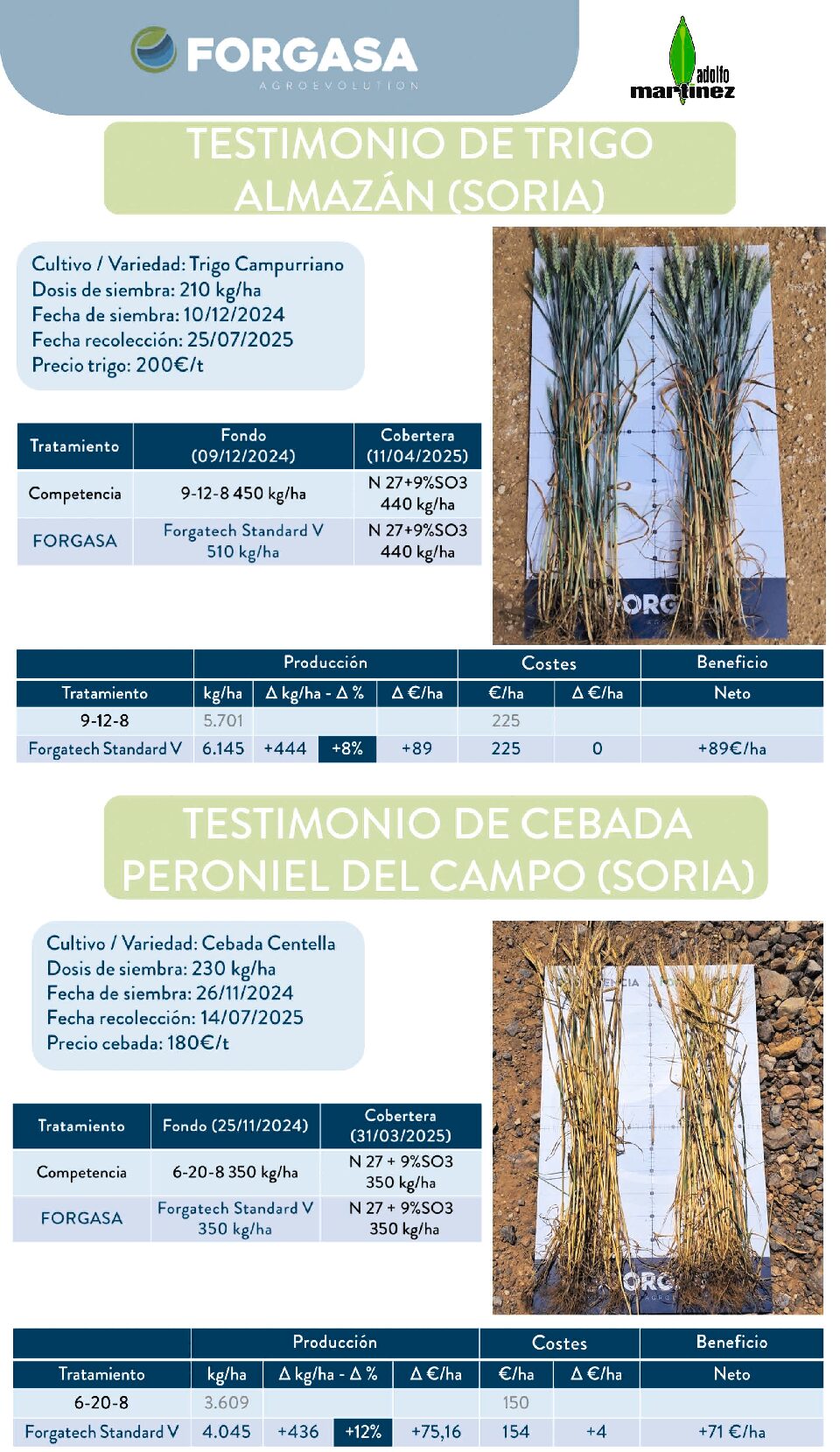 FORGASA Testimonio Soria Adolfo Martinez