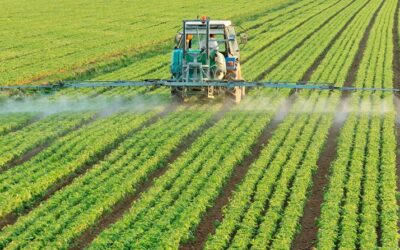 La guerra en Irán puede acabar afectando a alguna planta de fertilizantes en España