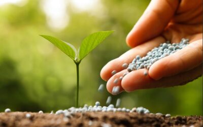Planas pide más medidas para hacer frente al encarecimiento de los fertilizantes